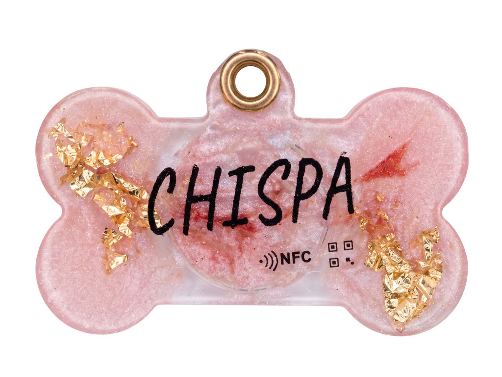 Placa NFC para mascotas · Modelo 3 — Resina con pan de oro