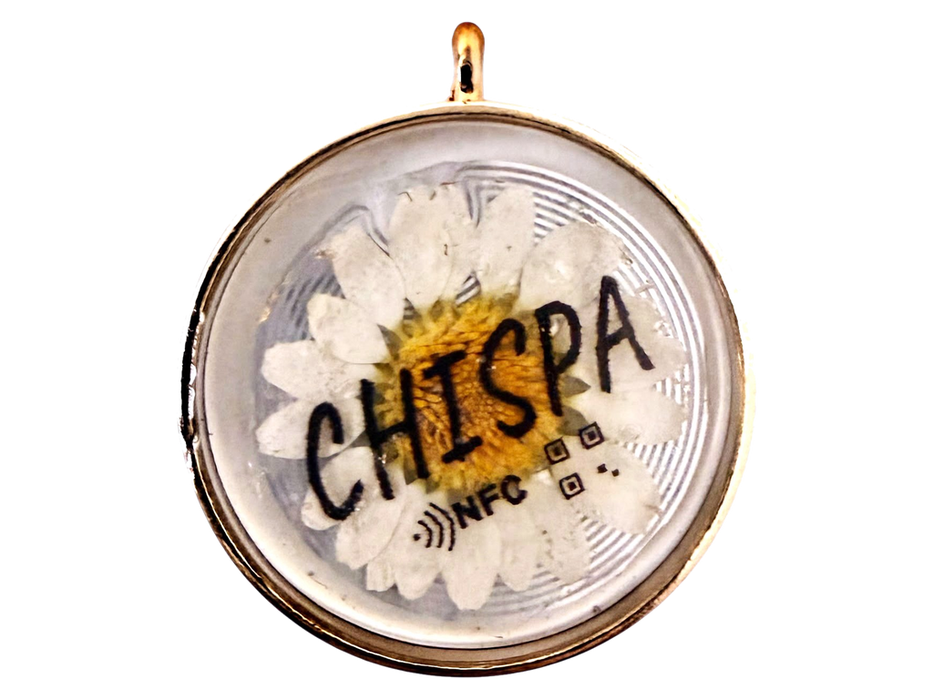 Placa NFC circular ChispID con margarita blanca prensada y bisel dorado