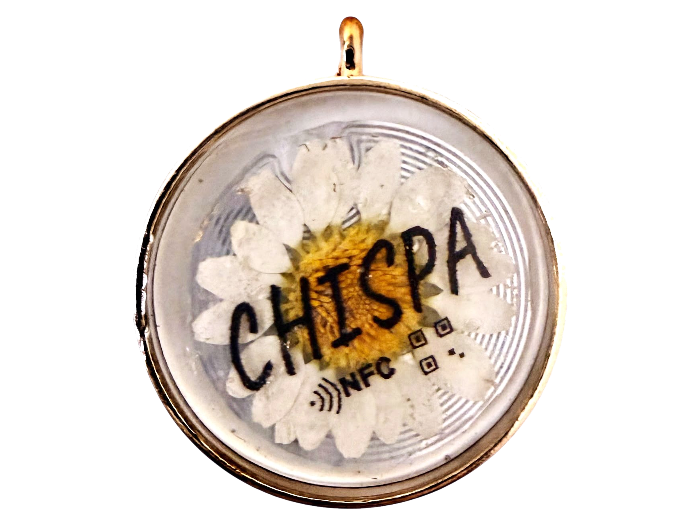 Placa NFC circular ChispID con margarita blanca prensada y bisel dorado