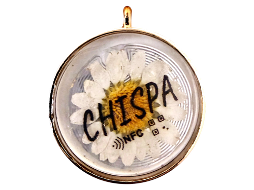 Placa NFC circular ChispID con margarita blanca prensada y bisel dorado